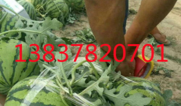 吃瓜网爆料无码吃瓜第一页